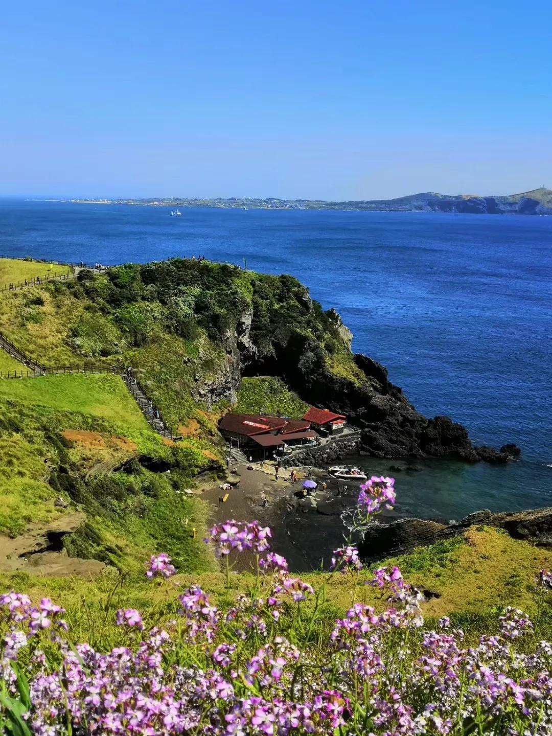 心血来潮去爬山,想去济州岛看海
