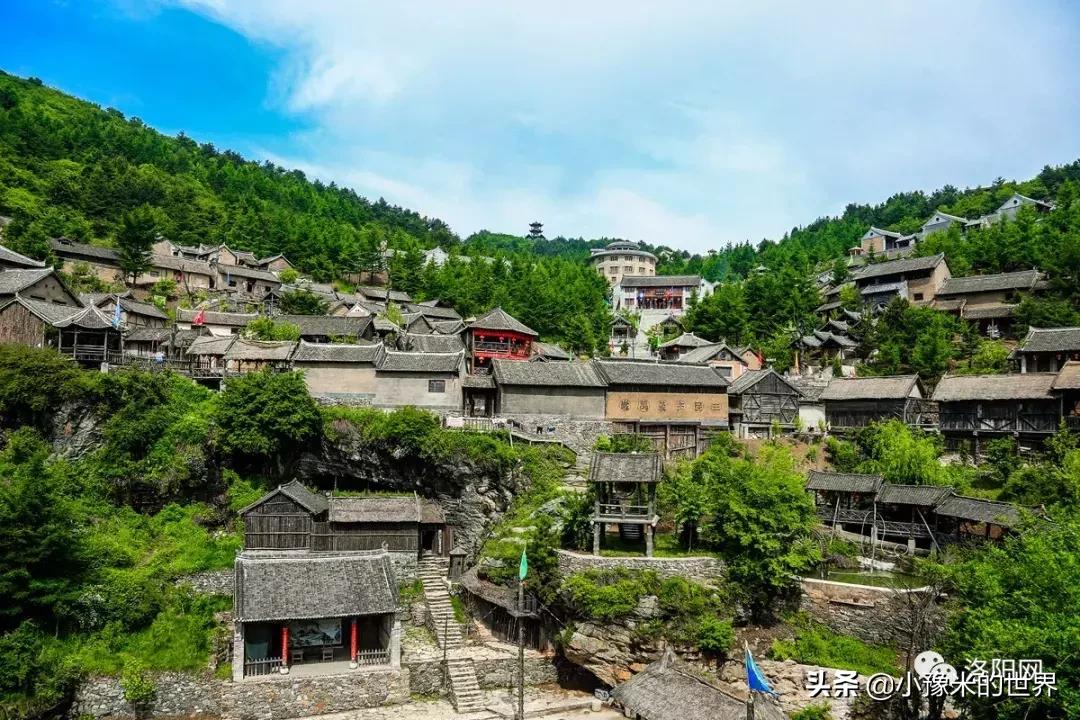 向洛阳人发出邀请国潮盛宴来袭,洛阳发布通知