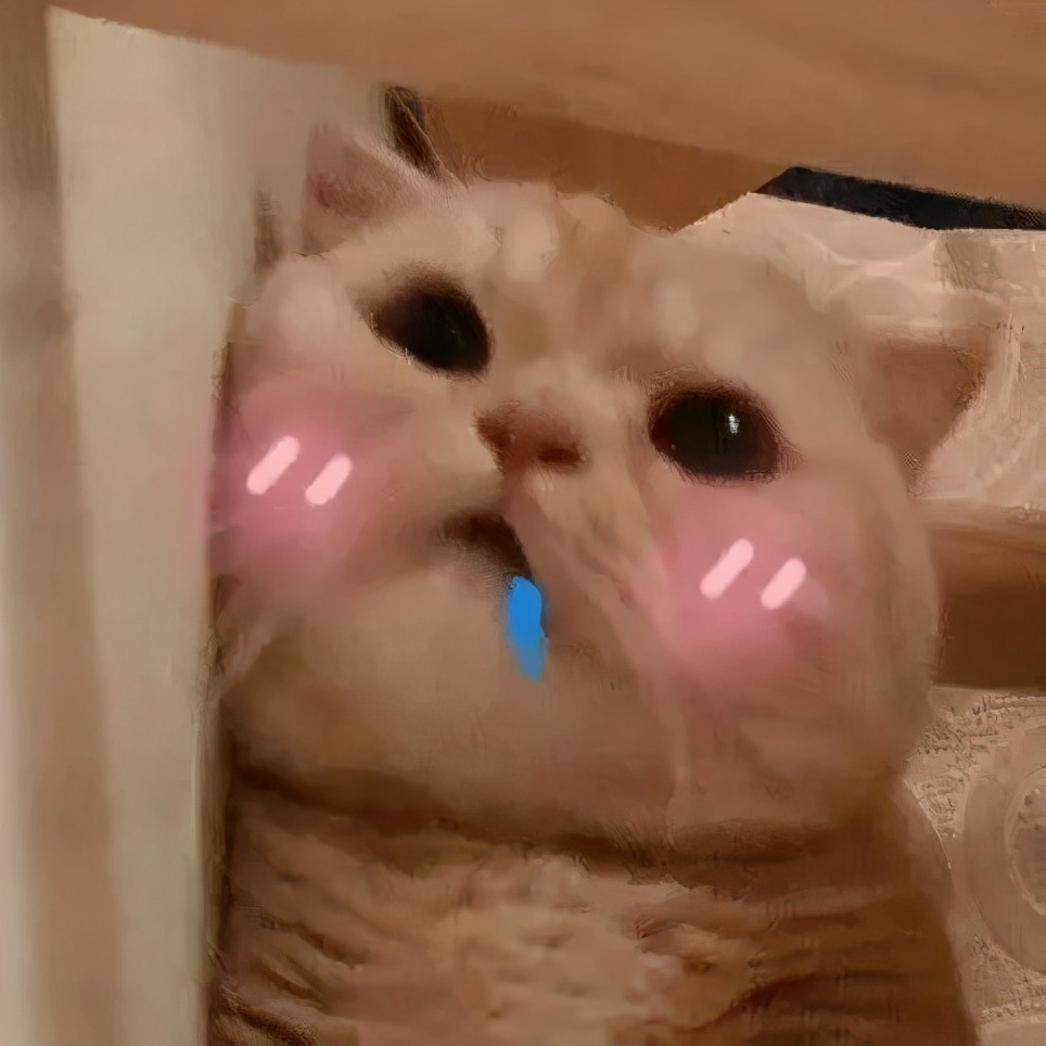 高性价比防御装备,高性价比暗抗装备