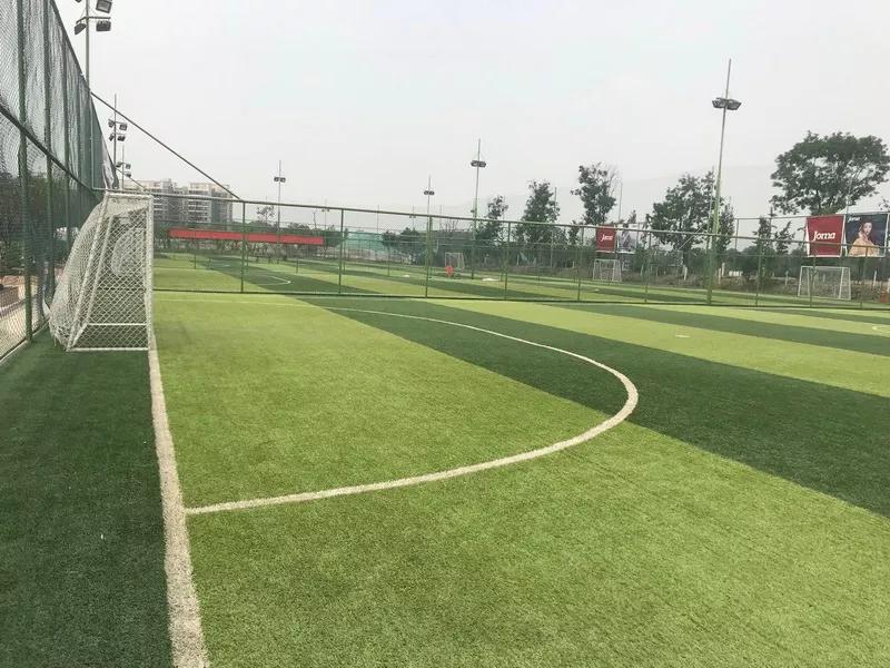 值得收藏的运动器材,运动场地免费开放