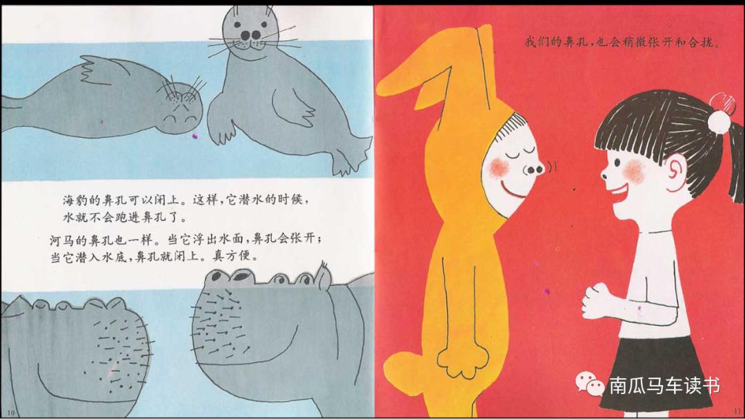 关于五官的绘本故事教案,大班绘本鼻孔的故事教案