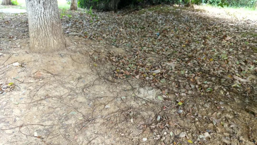 中房和万科物业哪个好,中房物业vs金佳物业