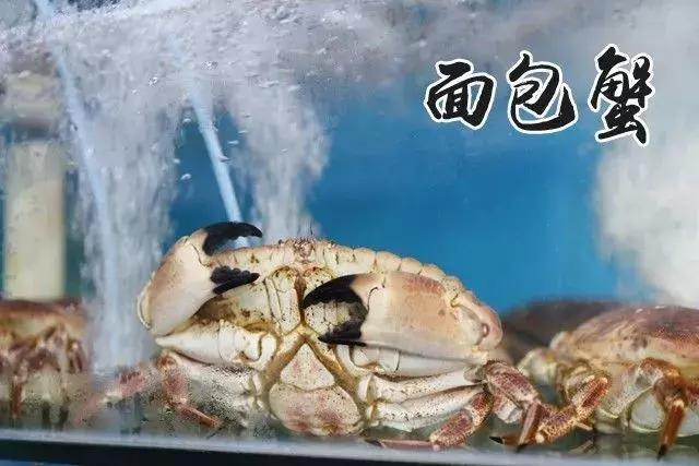 秦皇岛人都知道的地方,秦皇岛最好的海鲜自助餐厅排名榜