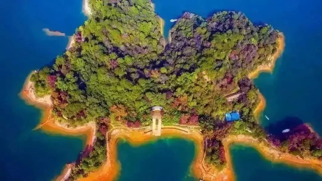 东莞周边11月份赏红叶好去处,东莞观音山看红叶攻略