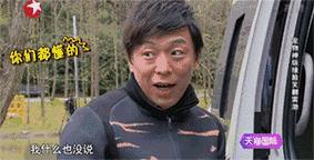 牛头梗太凶悍了,长相俊美的牛头梗