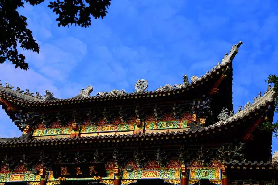 深圳适合春游的地方推荐及理由,深圳不可错过的游玩地方