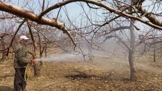 最好的果树清园药剂,果树清园专用药剂