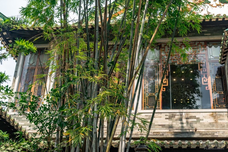 骞垮窞鑷寸偒x缇庨鏀荤暐,鑷寸偒x骞垮窞