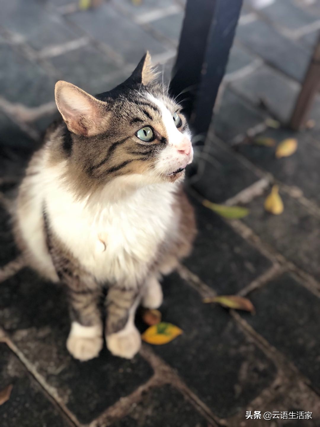 远走土耳其,我在星月之国上天入海(三)