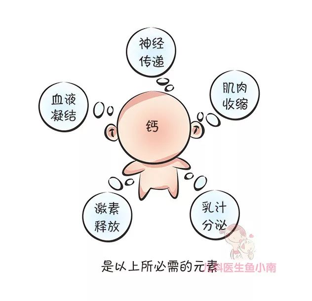 辟谣！“宝宝出牙晚补钙就行！”医生：宝宝根本不需要额外补钙！