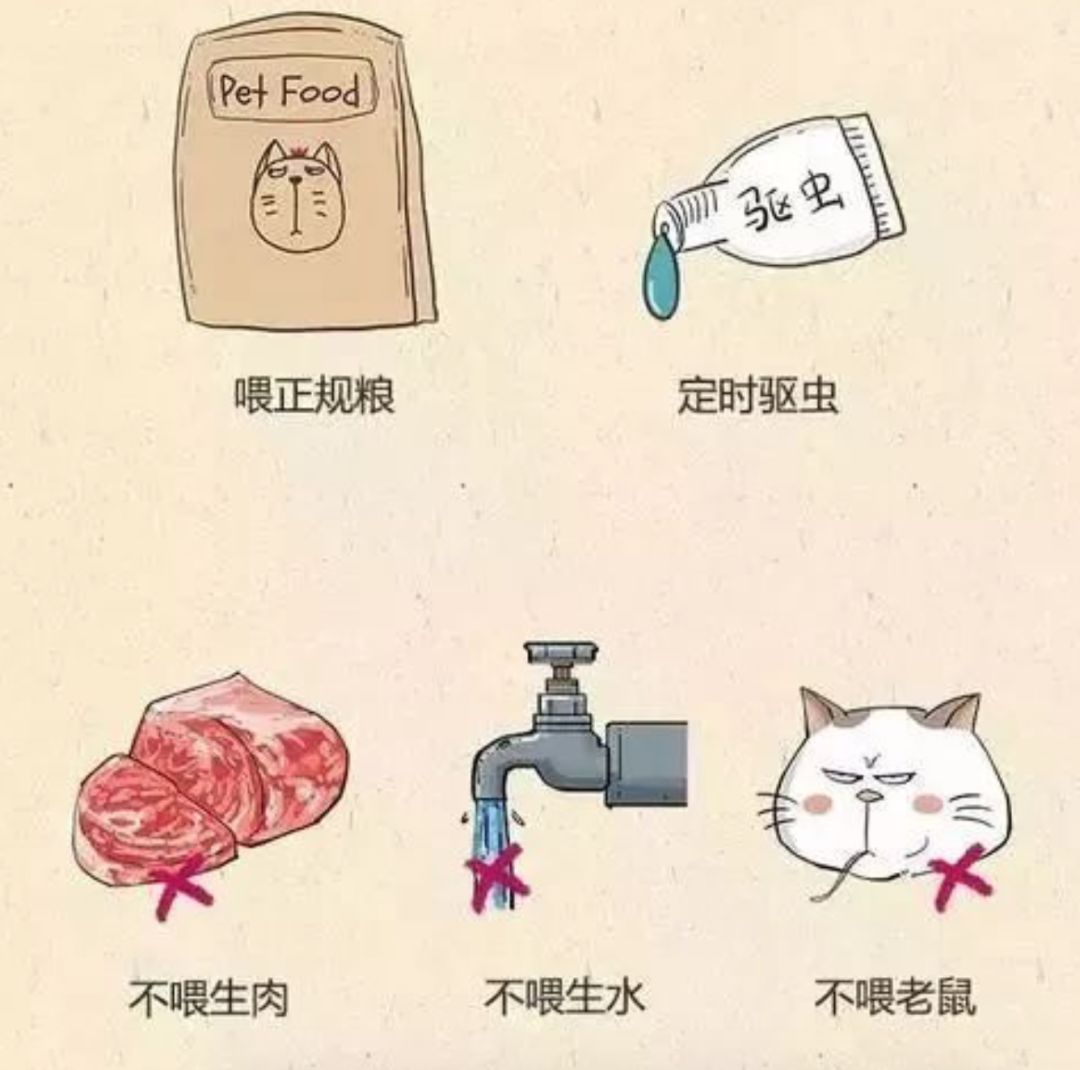 人宠共患病,弓形虫病是人畜共患病吗