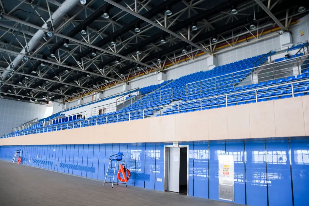 体育场和足球场的区别,体育场和体育馆对比图