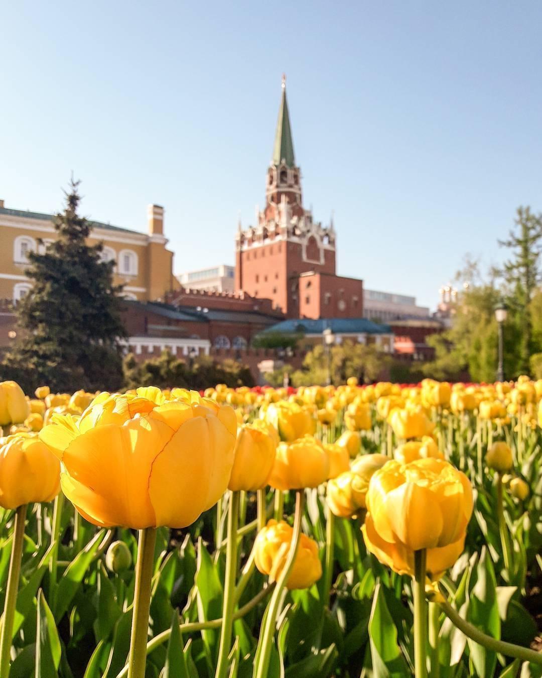 俄罗斯旅游攻略3-4天自由行,俄罗斯攻略旅游自由行