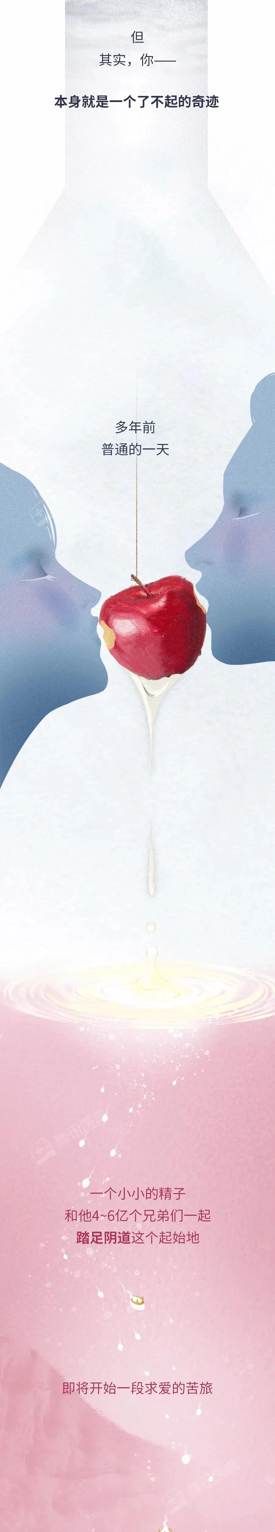 精子和卵子萌发生命的过程,精子与卵子结合孕育生命全过程