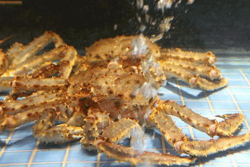 300公里外的“海鲜世家”登陆浦东！想吃要等8小时……