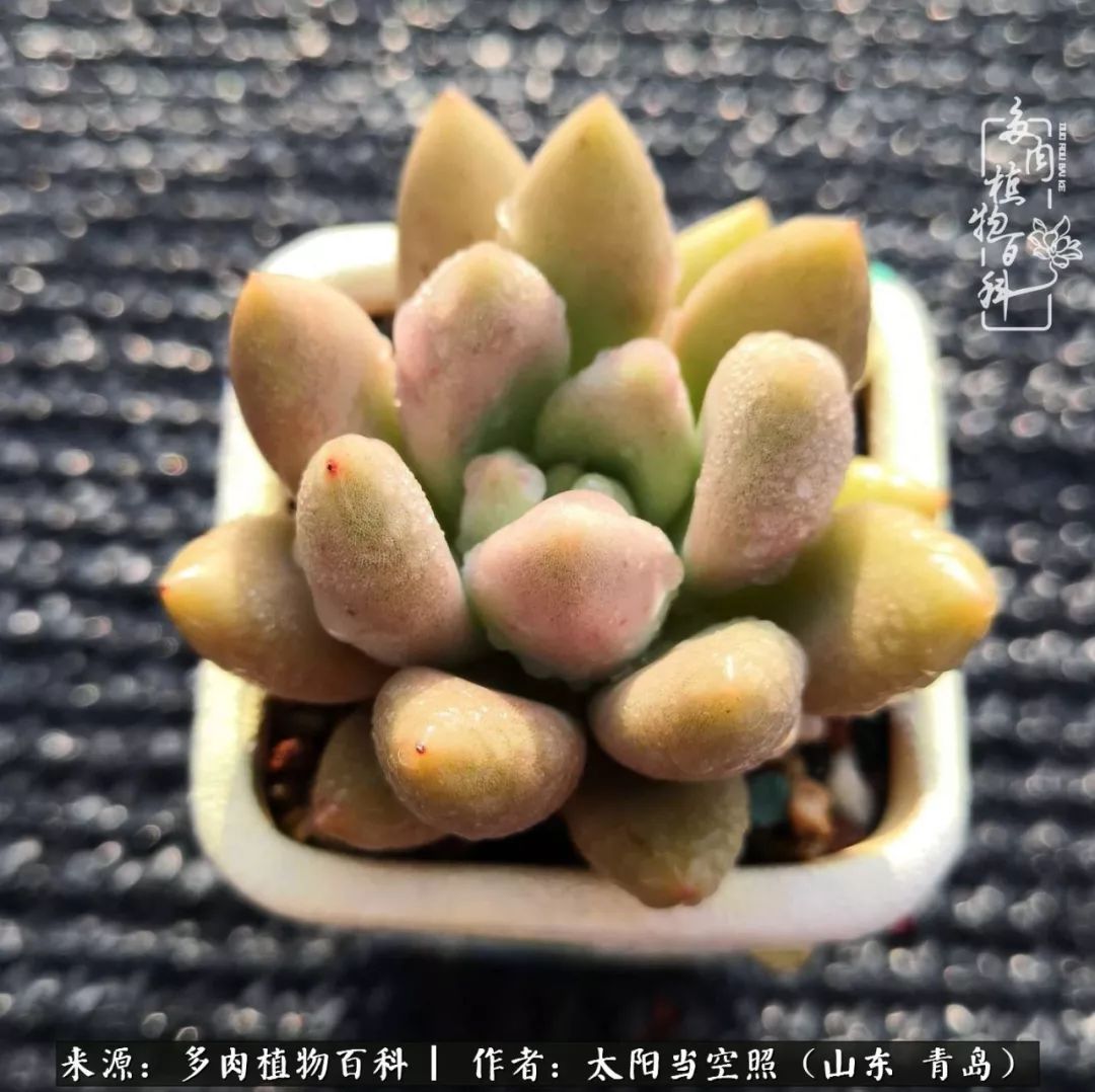 离家在外才发现最难忘的是故乡情,离家在外看见家乡的东西