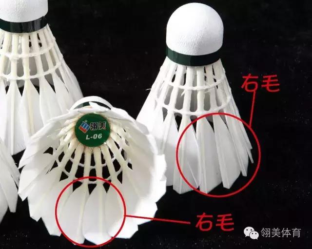 「干货」*片毛**与常识的完美结合，让你在大千羽毛球中精准定位