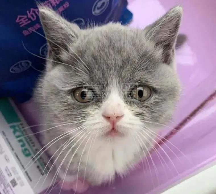 求职招聘大专附近工作阿克苏,阿克苏本地找工作58同城最新招聘