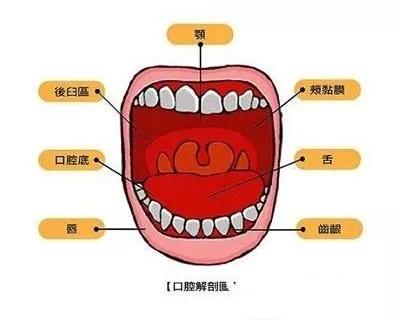 岁数大口腔溃疡有什么好办法,年纪越大口腔溃疡越难好吗