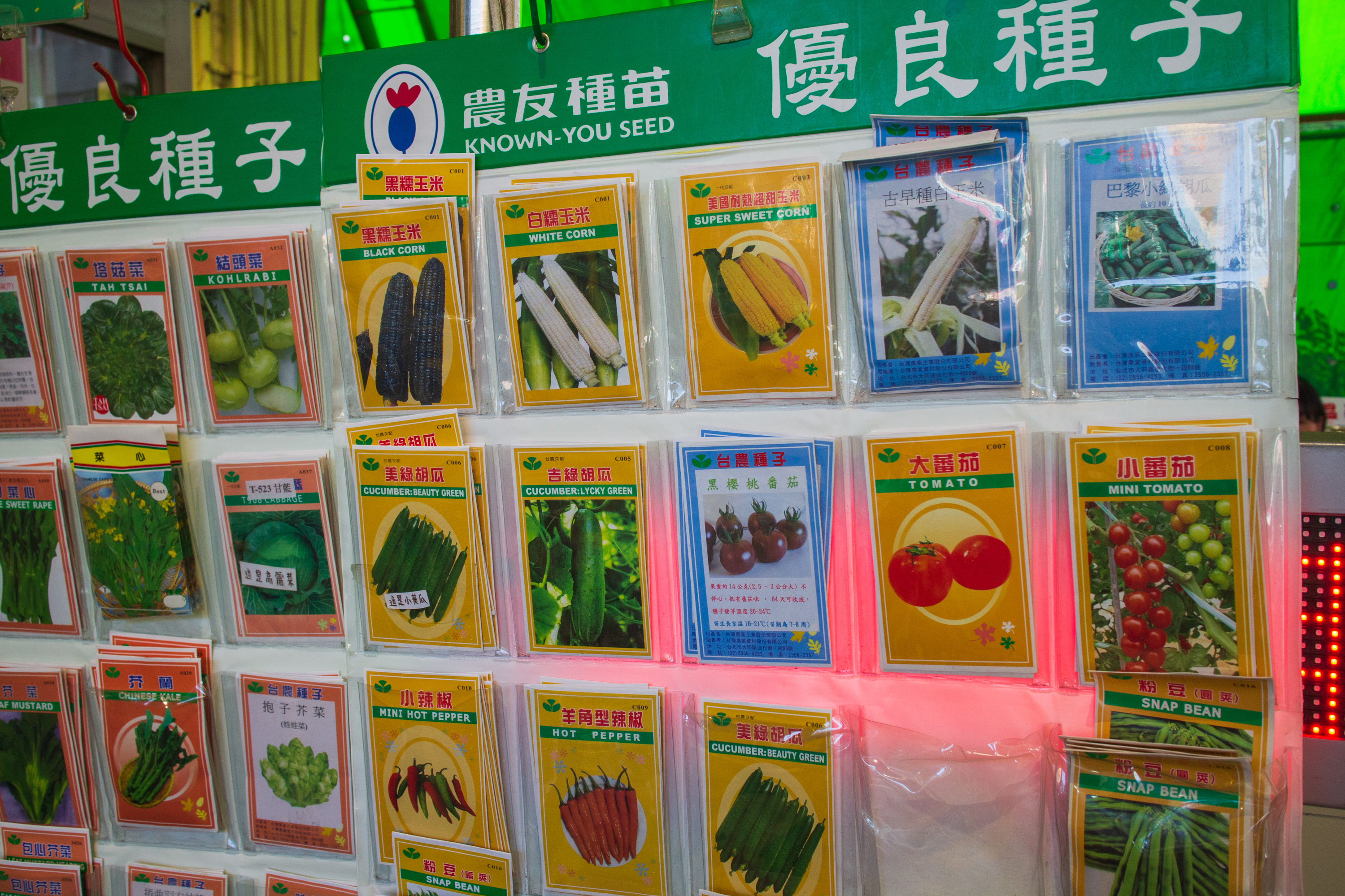 捻花惹草好去处－建国假日花市