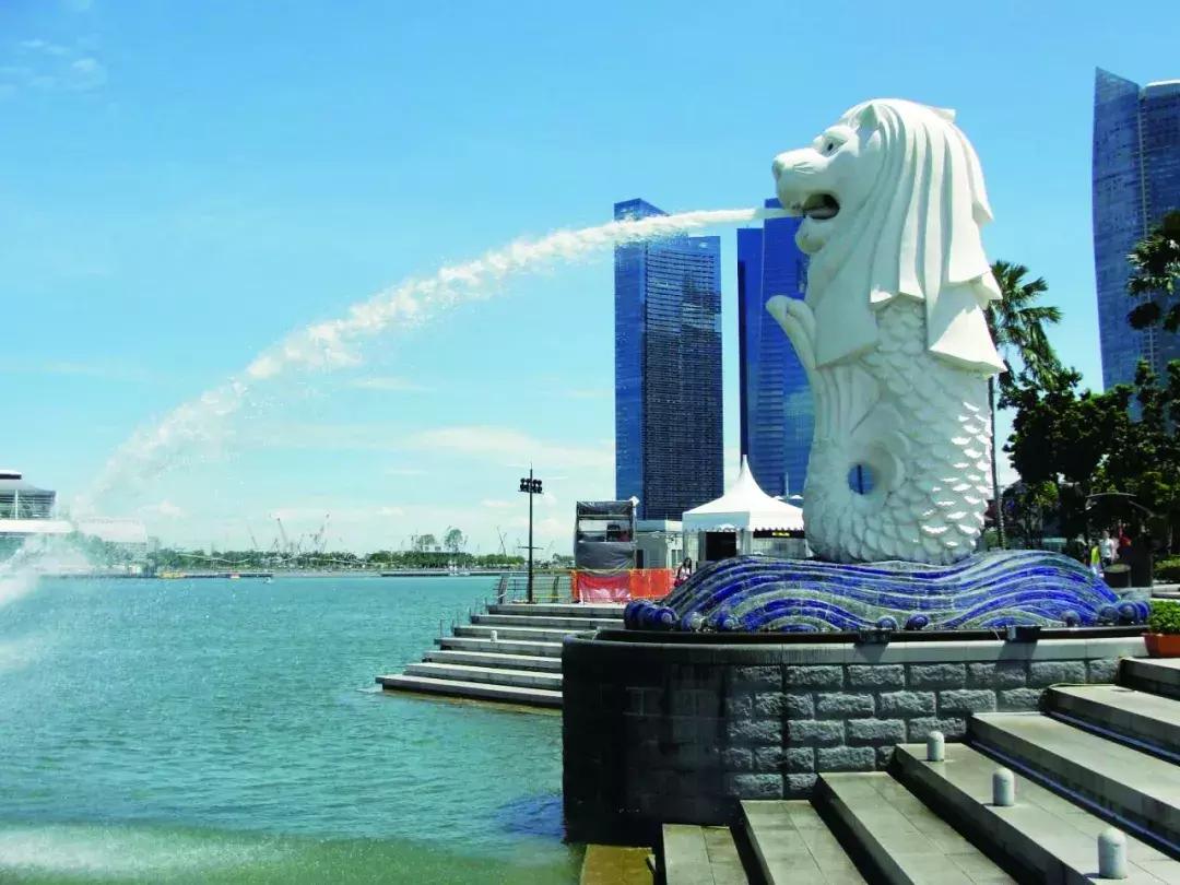 美洲狮在热带雨林,美洲狮在热带雨林会留下什么踪迹