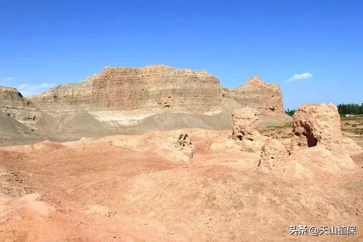 新疆的南疆图木舒克属于阿克苏吗,新疆图木舒克城市风景