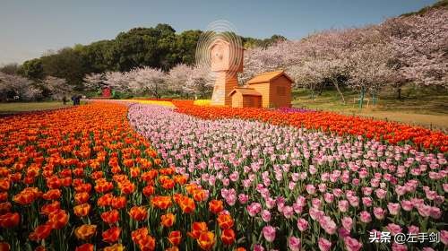 苏州上方山森林公园作文,苏州上方山国家森林公园电话