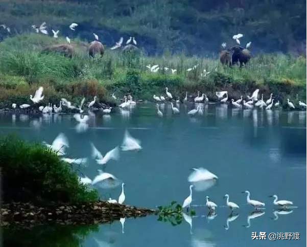 上联：钱如粪土人人赚，邀对下联