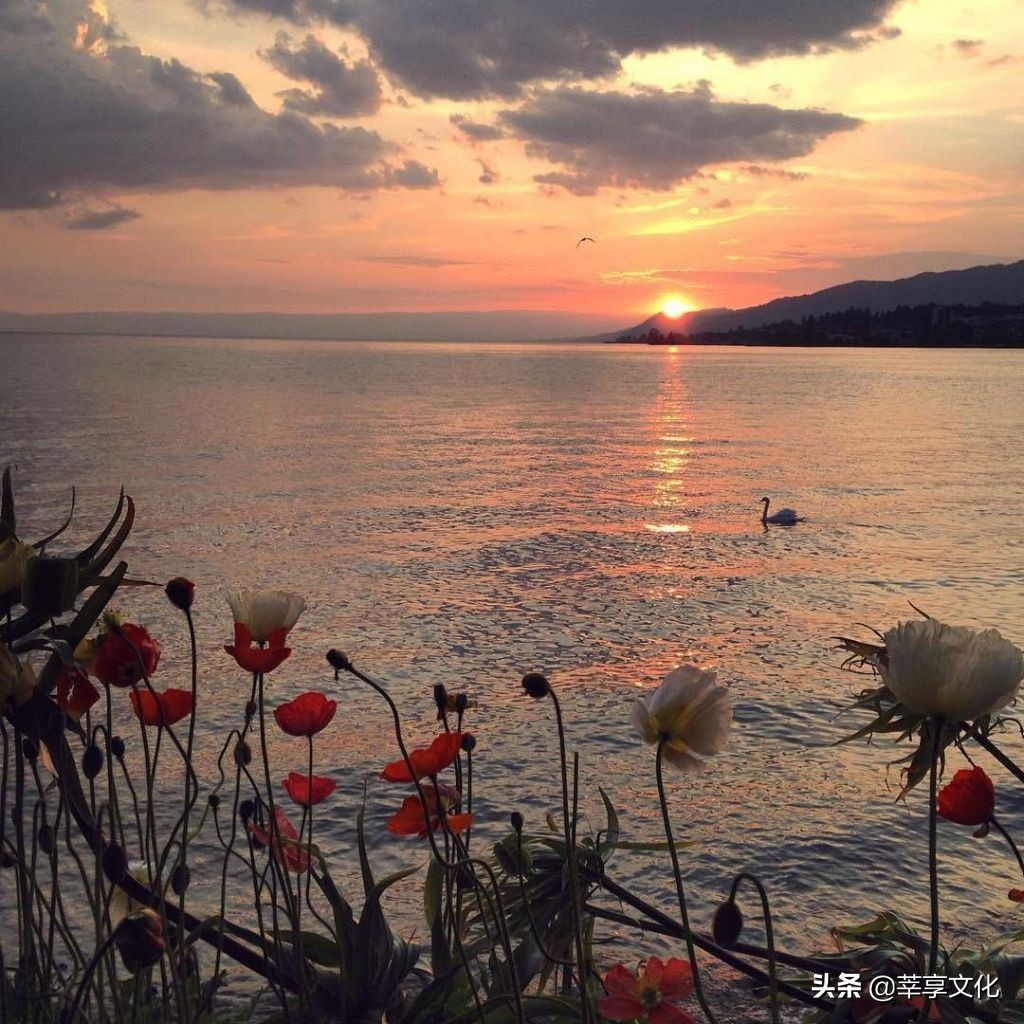 正式开启了你的大学生活,你所希望的大学生活