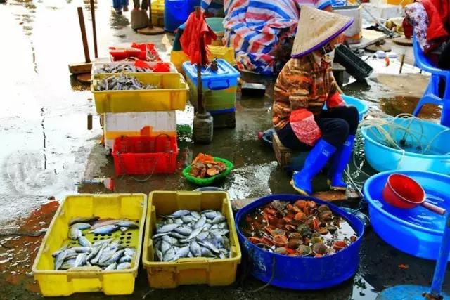 比鼓浪屿大12倍，比三亚安静10倍！这小岛最适合现在去，美轮美奂