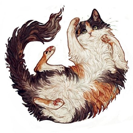 一组关于猫的插画,卷毛小猫咪