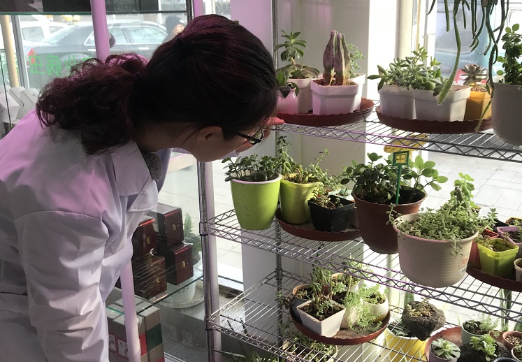 植物生病药怎么用,家里的植物病怎么治