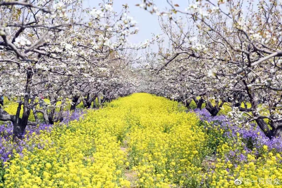 在石家庄生活需要什么条件,在石家庄生活中的技巧