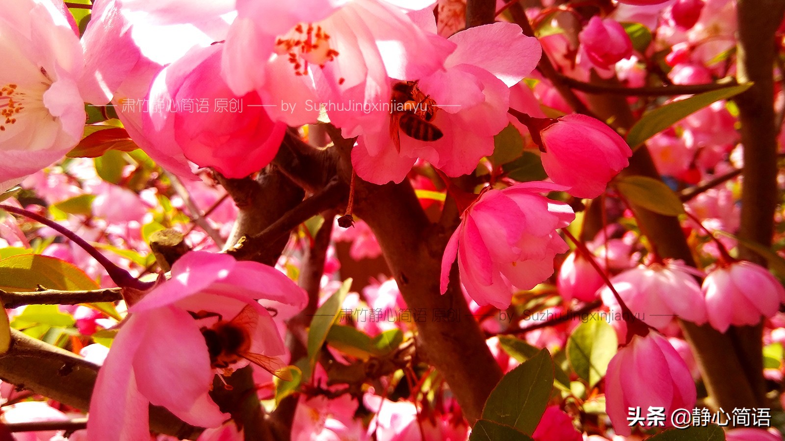 危机公关带来的启示,危机公关好处