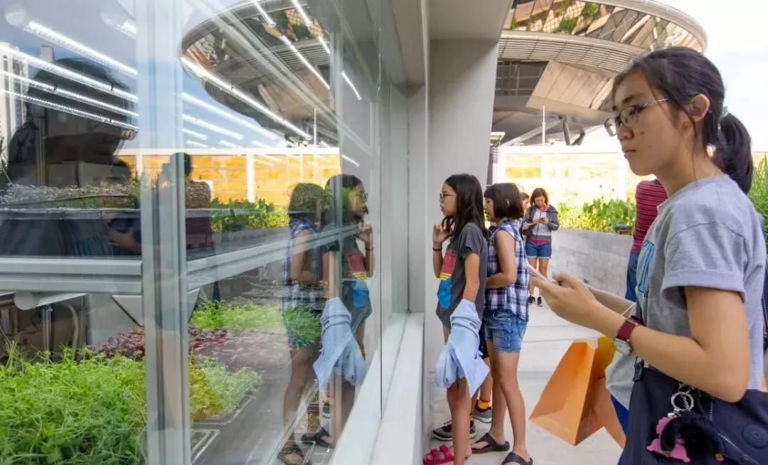 鏂板姞鍧unan璐墿涓績 (鏂板姞鍧￠粦绉戞妧璐墿涓績)