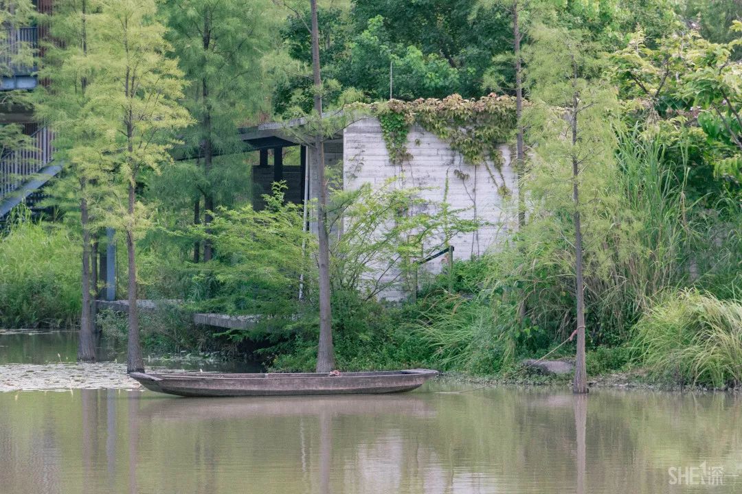 鍘夊浜嗘垜鐨勫ぇ閽﹀窞,鍘夊浜嗘垜鐨勫ぇ淇濆畾