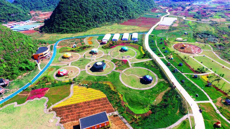 养鸡销售渠道和策划,用创业思维如何经营一个养鸡场