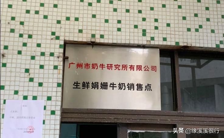 伊利金典娟姗纯牛奶冬日限定,a2纯牛奶和娟姗奶什么区别