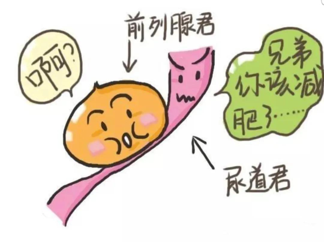 阜新市中心医院：是什么“偷走”我自主排尿的功能