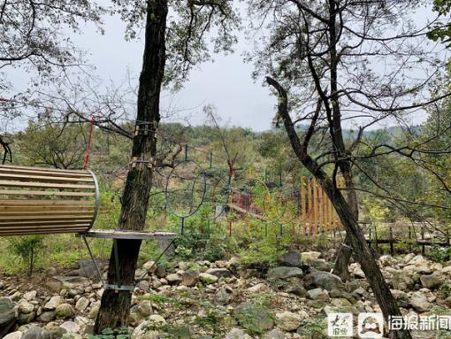 20多家主流媒体齐聚,一百多家媒体关注蒙阴