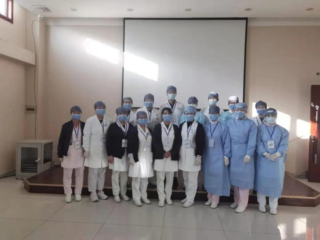 这里的玉兰花开了