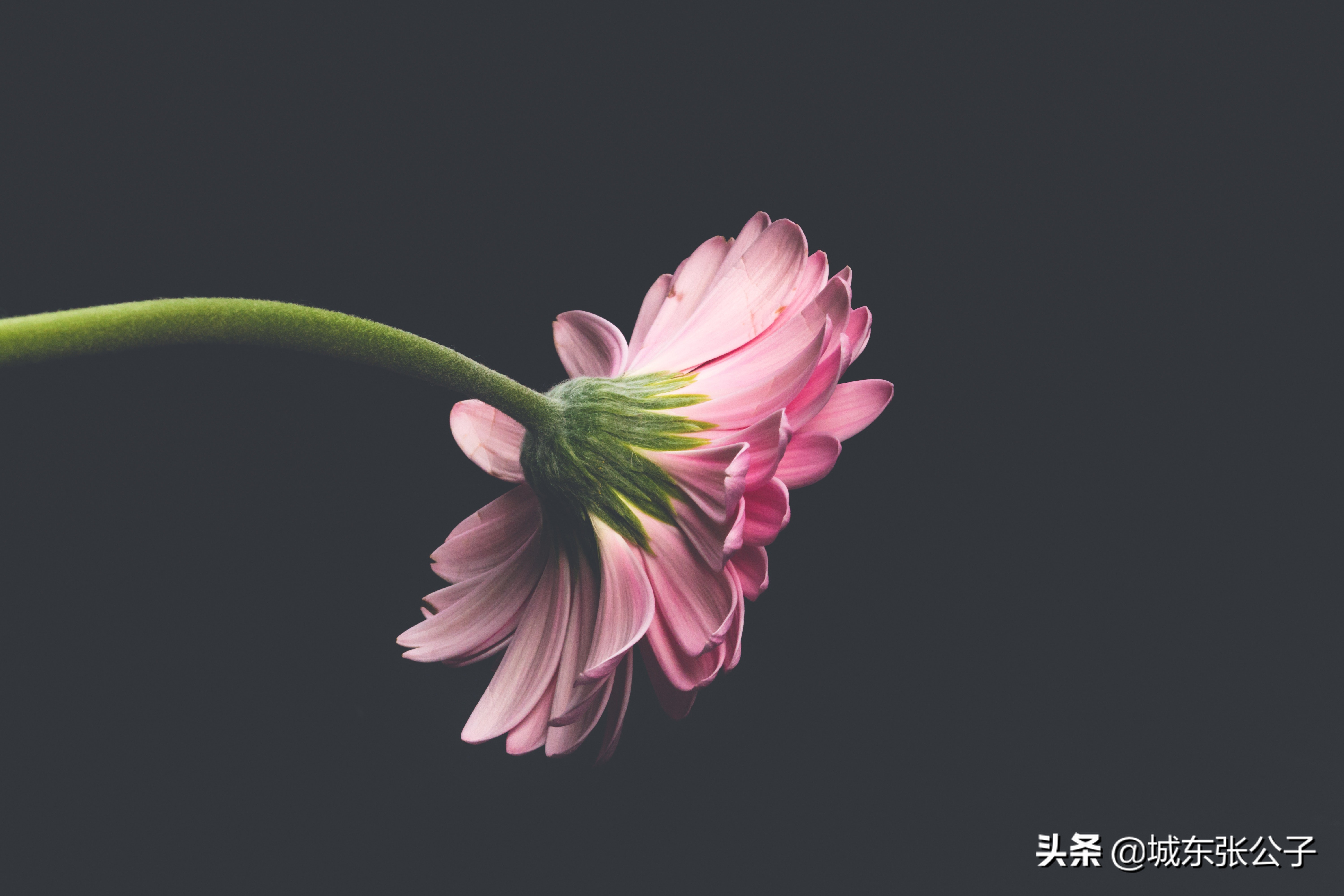 心理不成熟的男人表现,对待心智不成熟的男人怎么办