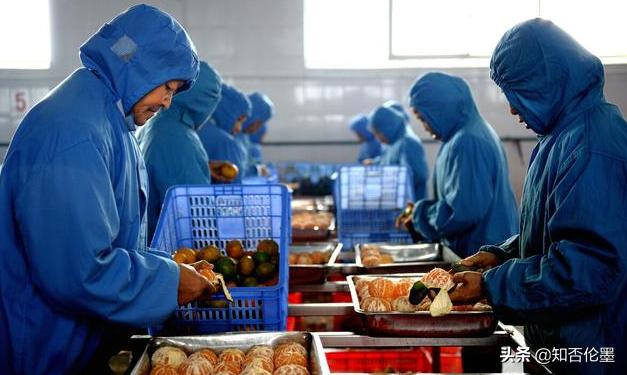 农村50个小型加工厂加盟生意,农村办个小型纸碗加工厂多少钱