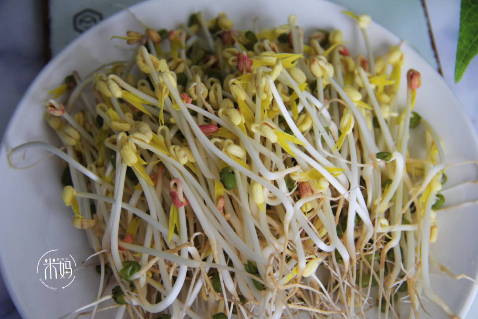 发豆芽原始的简单方法,发豆芽的方法简单又好