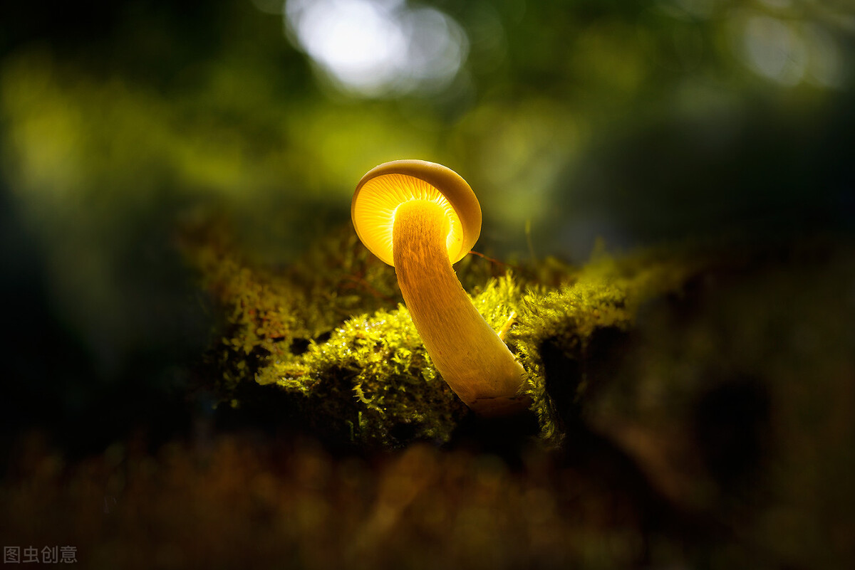 肠道功能健康评估怎么检查,肠道健康的四大关键指标