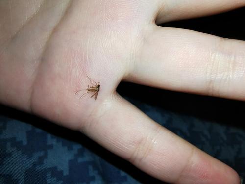 关于泰国你不知道的冷知识,泰国十大冷知识