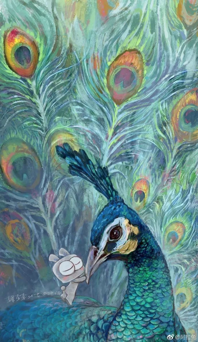 漫画家韩李李：为什么有的生命还在跟你说话，有的却变成了一道菜