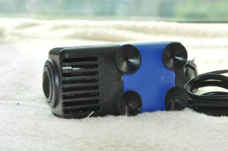 想把鱼养好,先把过滤这点事儿整明白就算向前迈了一大步