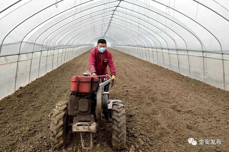 防疫春耕两不误，金安处处有期寄！