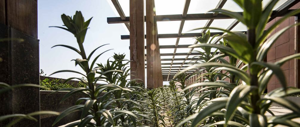 宁夏长和翡翠酒庄有限公司,贺兰山东麓长和翡翠酒庄